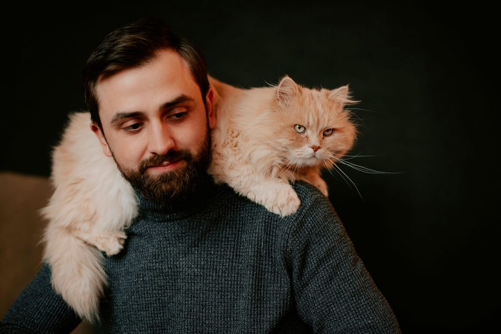 allergia al gatto cure e rimedi